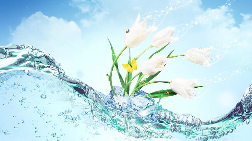 Water Flower HD wallpaper | Pxfuel