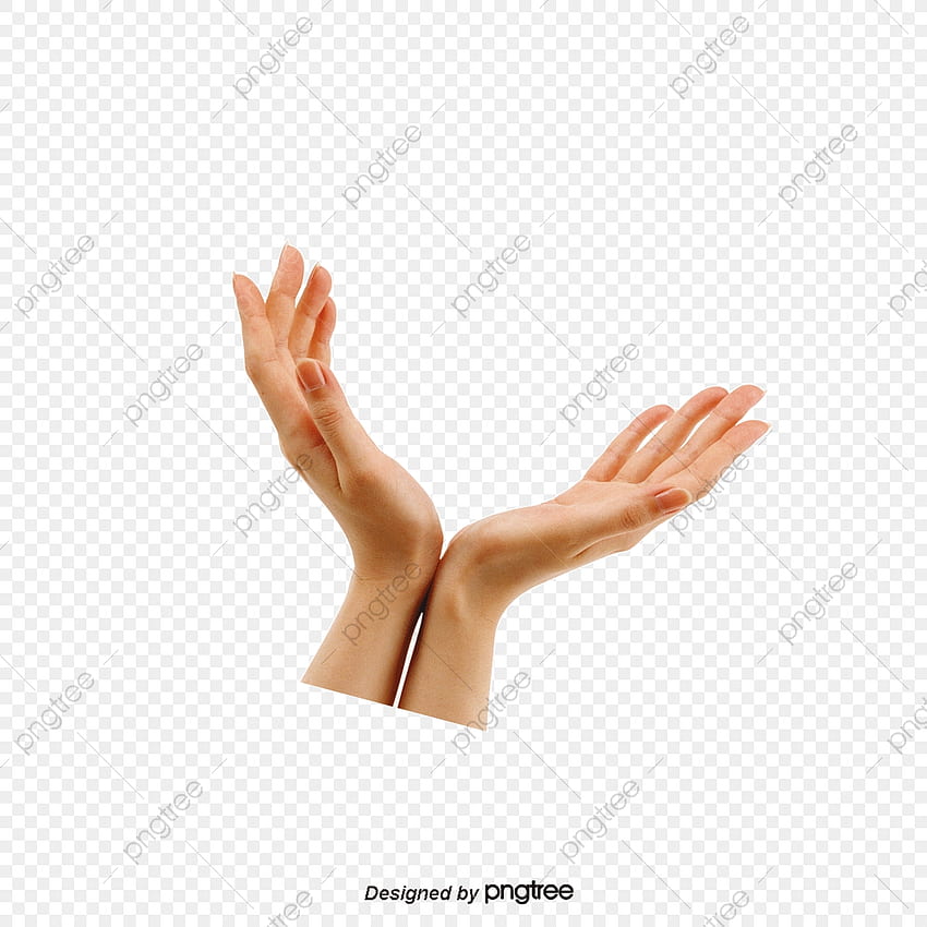 Hand PNG . Vector and PSD Files. on Pngtree, Blessing Hands HD phone wallpaper