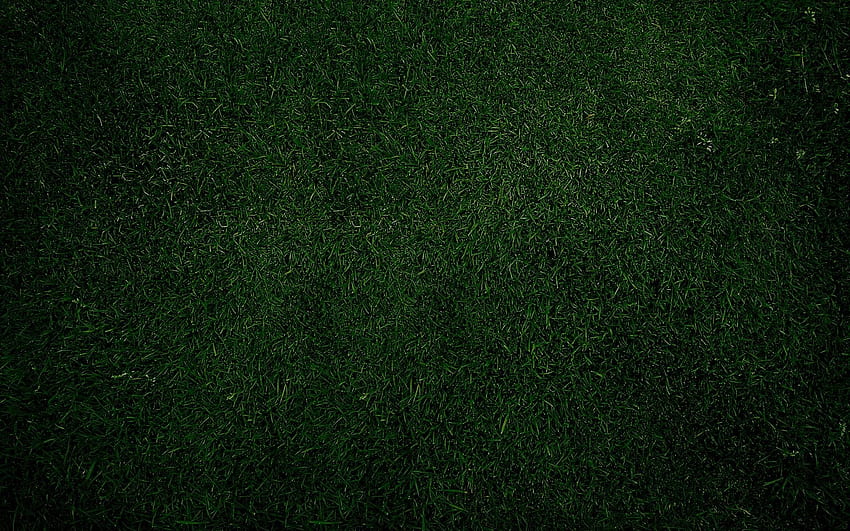 Dark Green Computer, Dark Green Aesthetic HD wallpaper