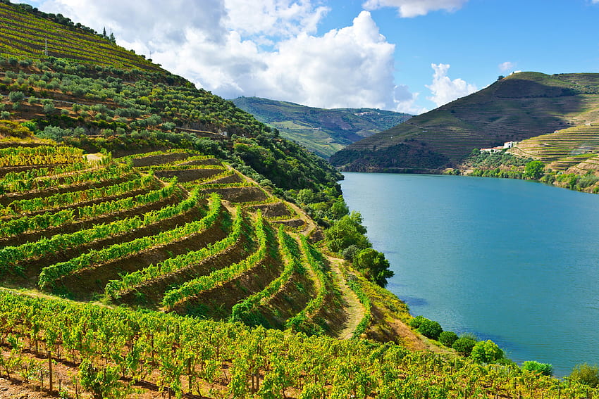 portugal, Rivers, Mountains, Fields, Douro, Nature / and Mobile Background HD wallpaper