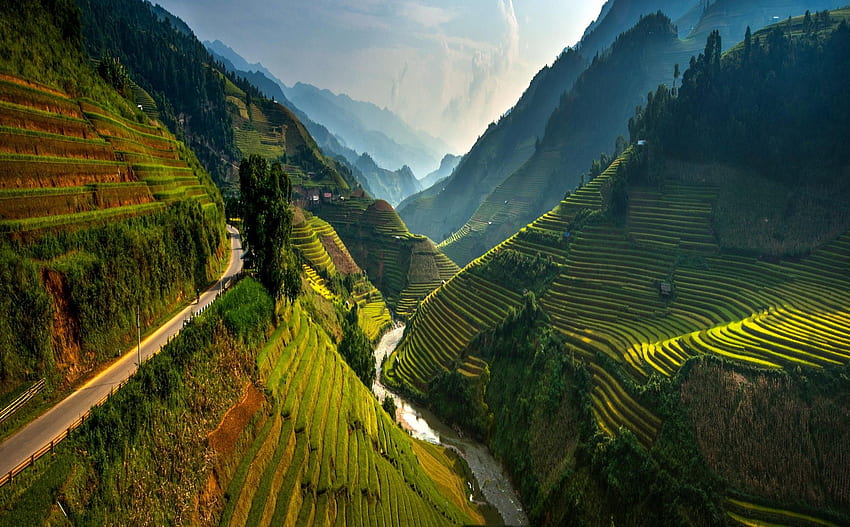 rizière, Terrasses, Vallée, Vietnam, Montagne, Route, Brume, Rivière Fond d'écran HD