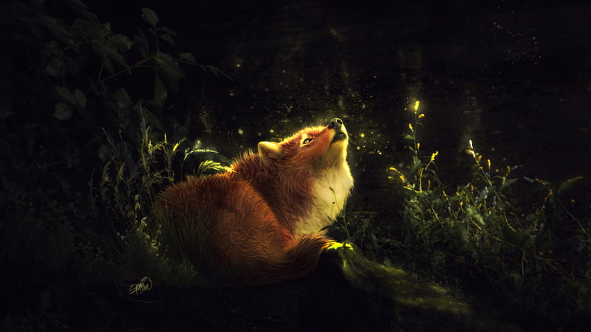 Fox, Forest, Enchanted, Howling, , Creative, Dark Fox HD wallpaper