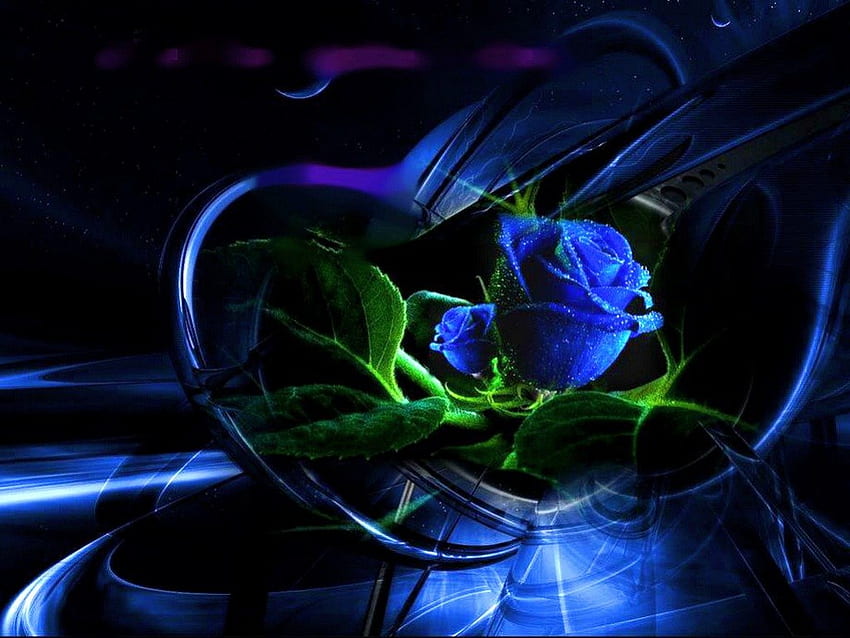 Blue roses heart HD wallpapers | Pxfuel