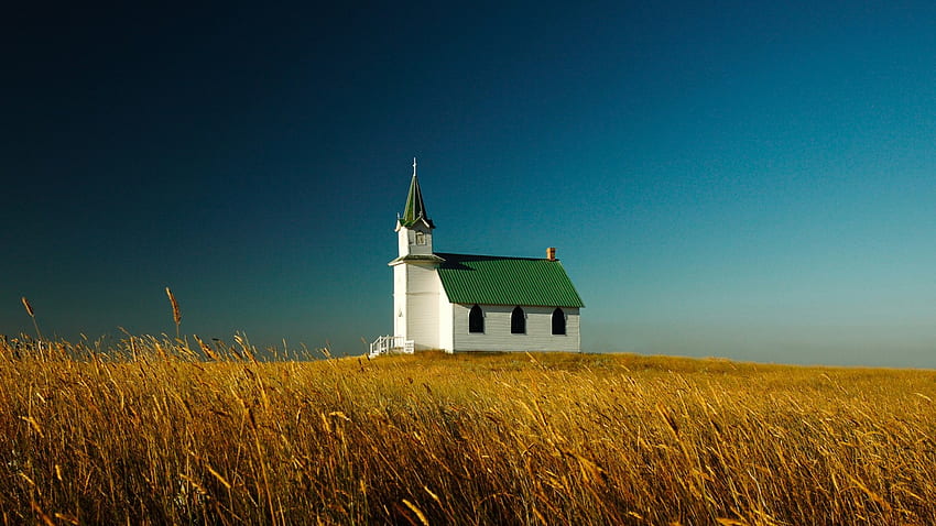 belle église au toit vert dans les champs de blé, plaine, blé, vert, champs, église Fond d'écran HD