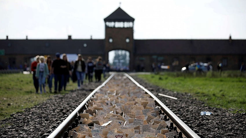 Amazon retira 'enfeites' do campo de extermínio de Auschwitz após indignação online - ABC News papel de parede HD