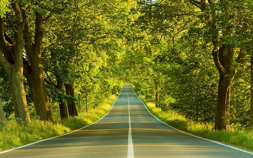 Hilly Road & Trees . Hilly Road & Trees stock HD wallpaper