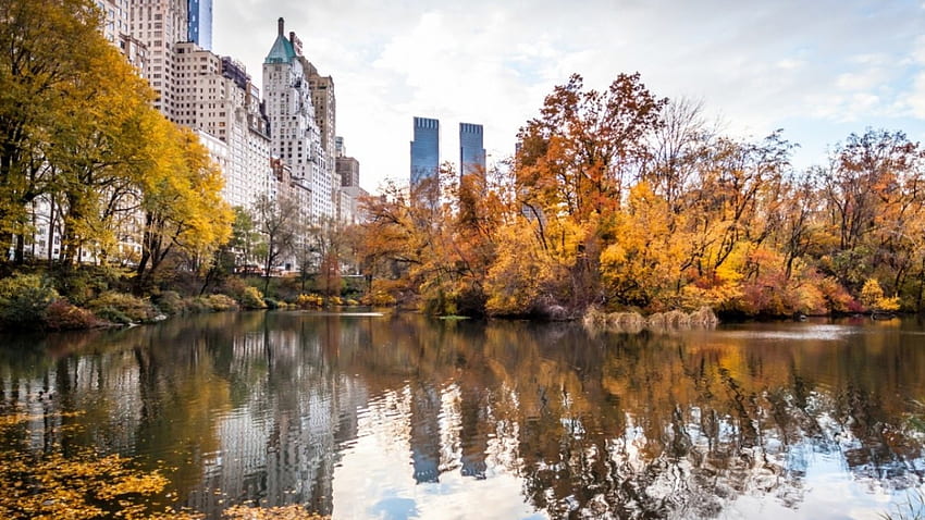 ニューヨーク、高層ビル、都市、秋、アメリカ、公園、アメリカ 高画質の壁紙