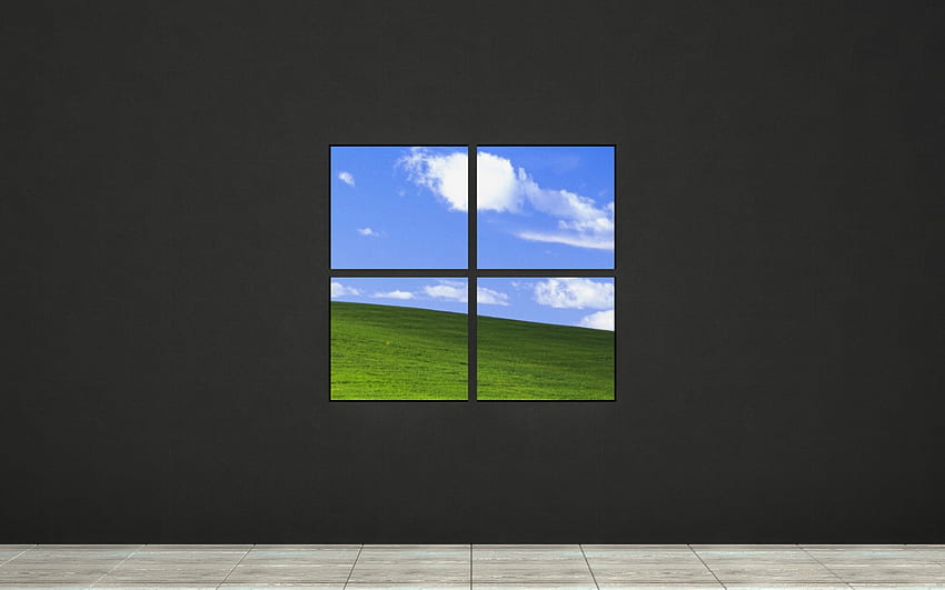 Windows logo, gray background, nature, Windows 11 logo, Windows emblem, Windows HD wallpaper