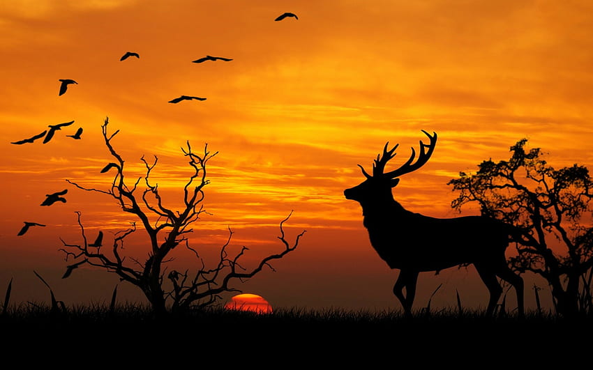 Deer, animal, bird, nature, orange, silhouette, sunset, tree HD wallpaper