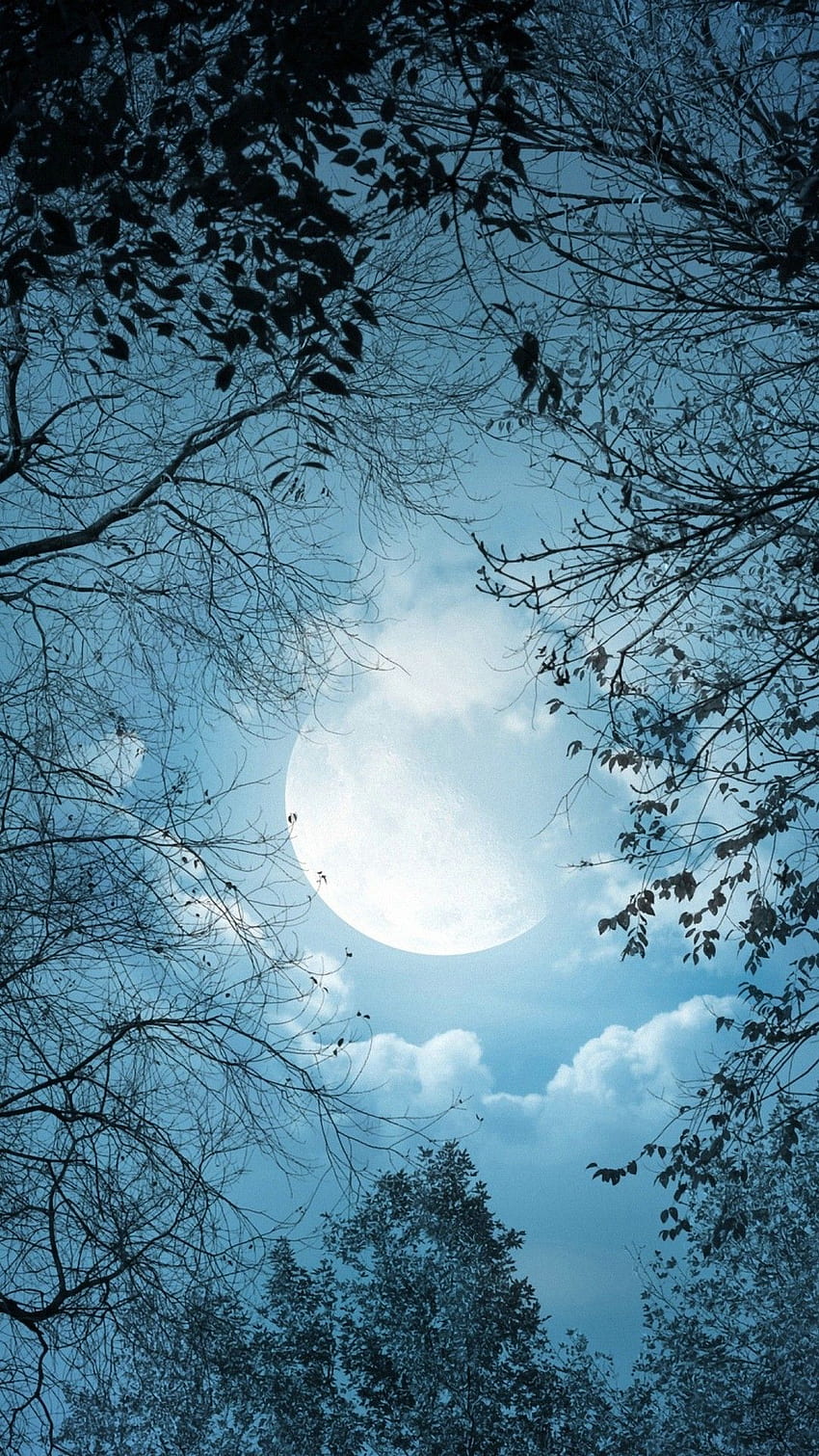 Android iPhone Android Moon Night, Peter Lik HD phone wallpaper