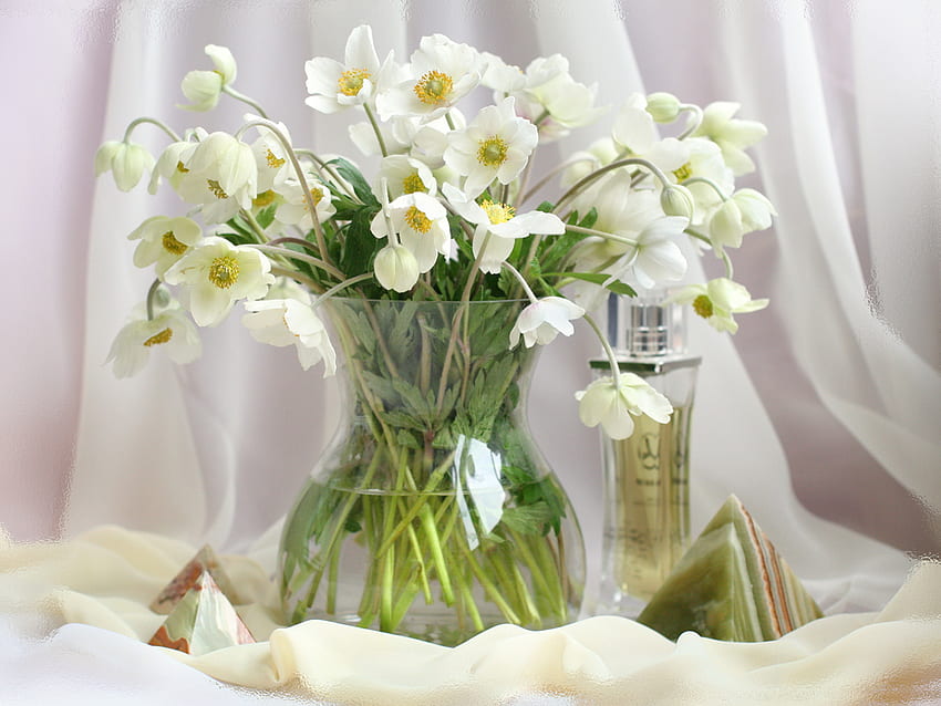 Still life, anemone, table, white, stems, snowdrops, floral, vase, veil, arrangement, folds, beauty, daylight, glass, nature, flowers HD wallpaper
