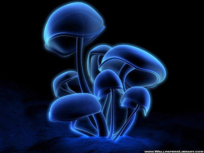 3D-Pilze. Gefüllte Pilze, Pilze, Leuchtpilze, Farbpilze HD-Hintergrundbild