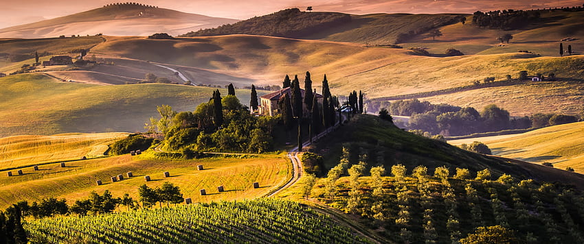 Landscape Tuscany Italy Vineyard Field - Resolution: HD wallpaper