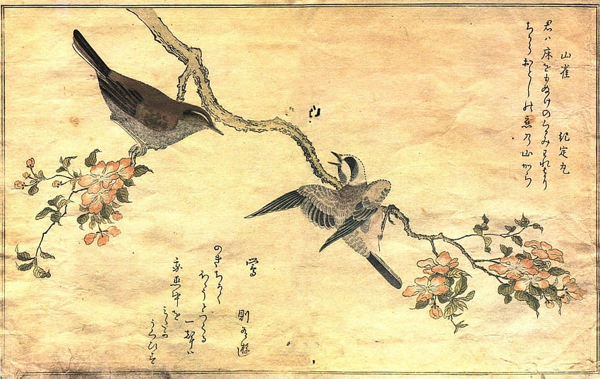 鳥 日本のアートワーク ウグイス シジュウカラ 北川歌麿 高画質の壁紙