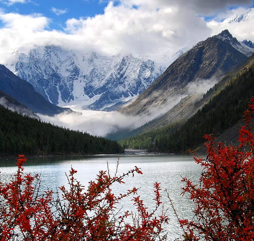 Величието на планините, червени растения, върхове, сняг, облаци, канада, планини, езеро HD тапет