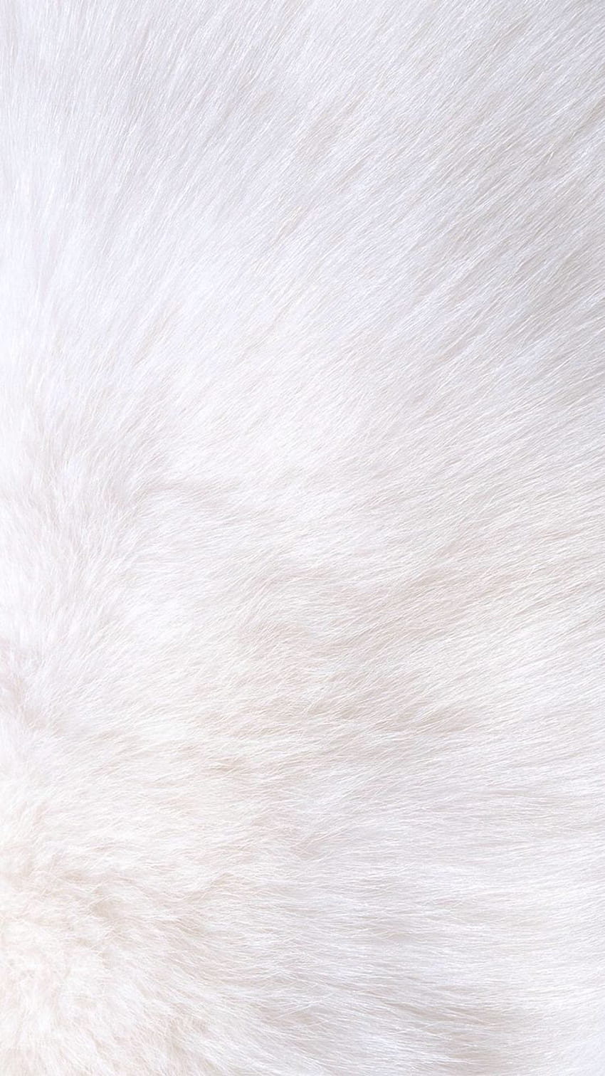 White fur Background  Fur background, White wallpaper for iphone,  Wallpaper pc