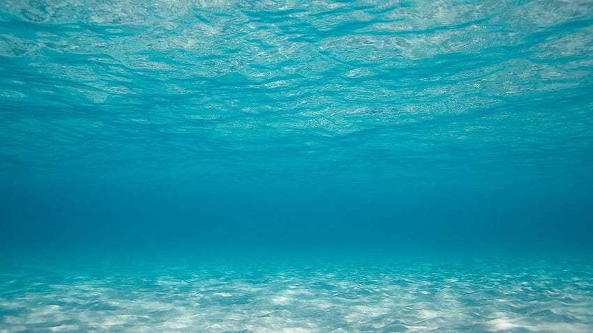 Подводен фон, движение под вода HD тапет