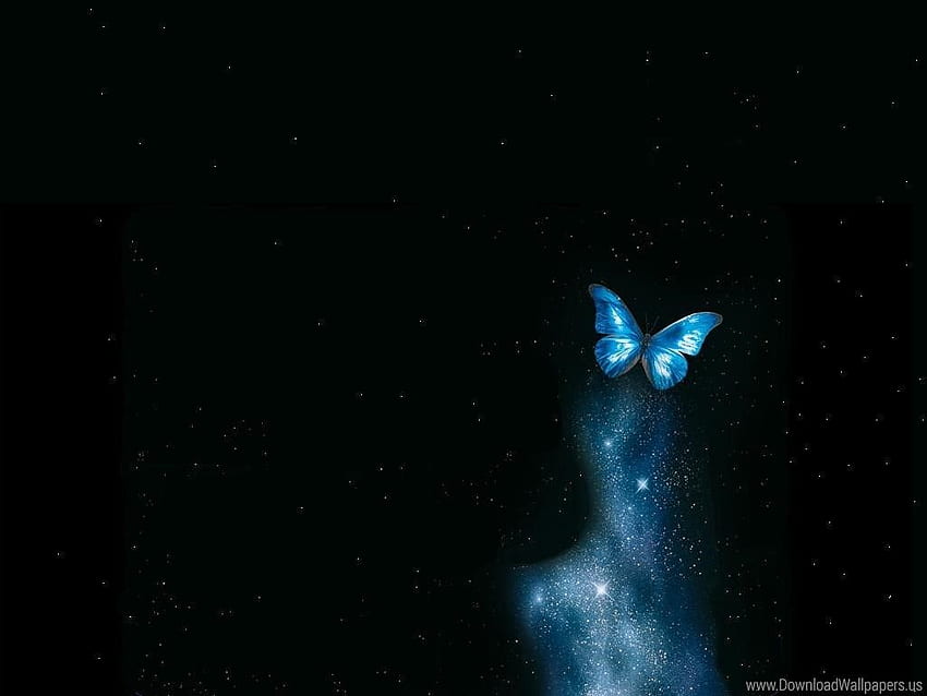 Galaxy Buterfly , Dark Blue Butterfly HD wallpaper