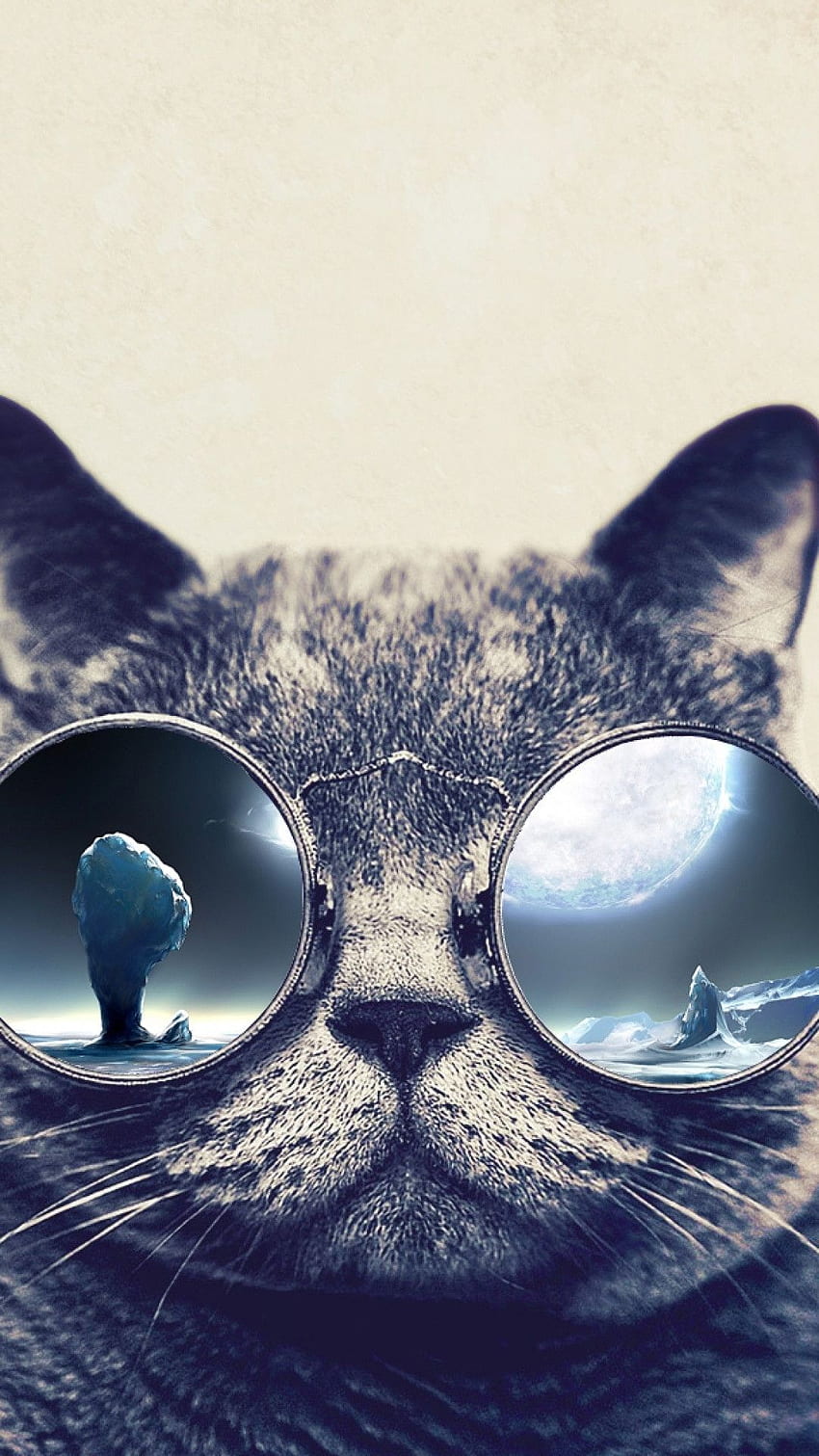 선글라스, 안경을 쓴 고양이 HD 전화 배경 화면
