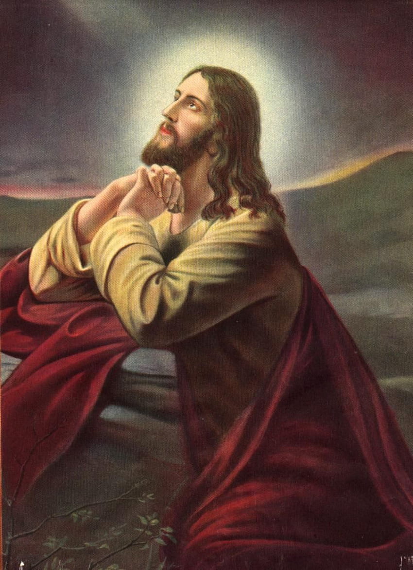 Jesus . Jesus, Jesus Face and Of Jesus in 2020. Jesus praying, Jesus , Jesus HD phone wallpaper