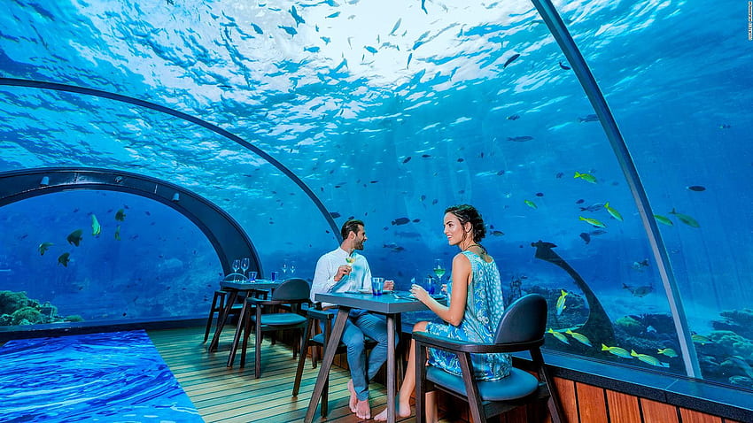 World's Largest All Glass Underwater Restaurant, Underwater Sea Walk HD wallpaper