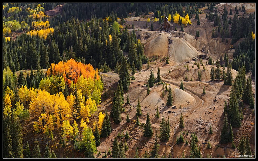 Old Mine, Colorado, shadow, landscape, ground, day, leaves, green, yellow, nature, colorado, forest HD wallpaper