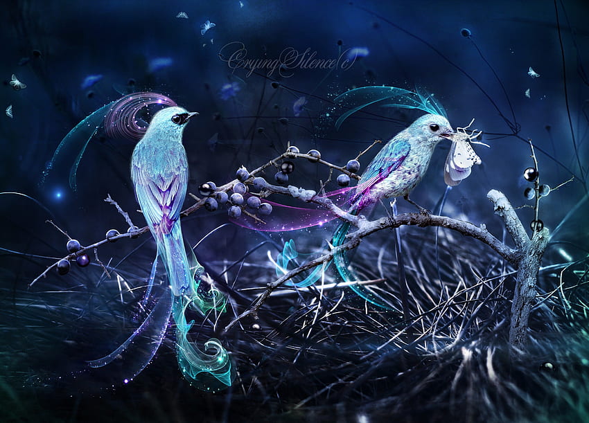 ...ADORABLE OF BIRDS..., birds, blackthorn, cute, insects, digital art, beautiful, love four seasons, eat, pretty, animals, branches, nature, lovely HD wallpaper