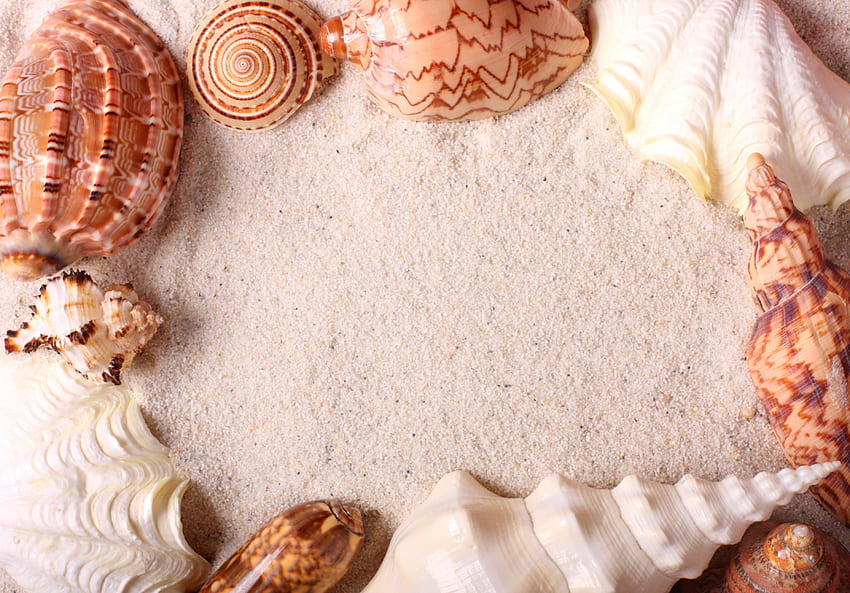 砂, 貝殻, その他, その他, フレーム 高画質の壁紙