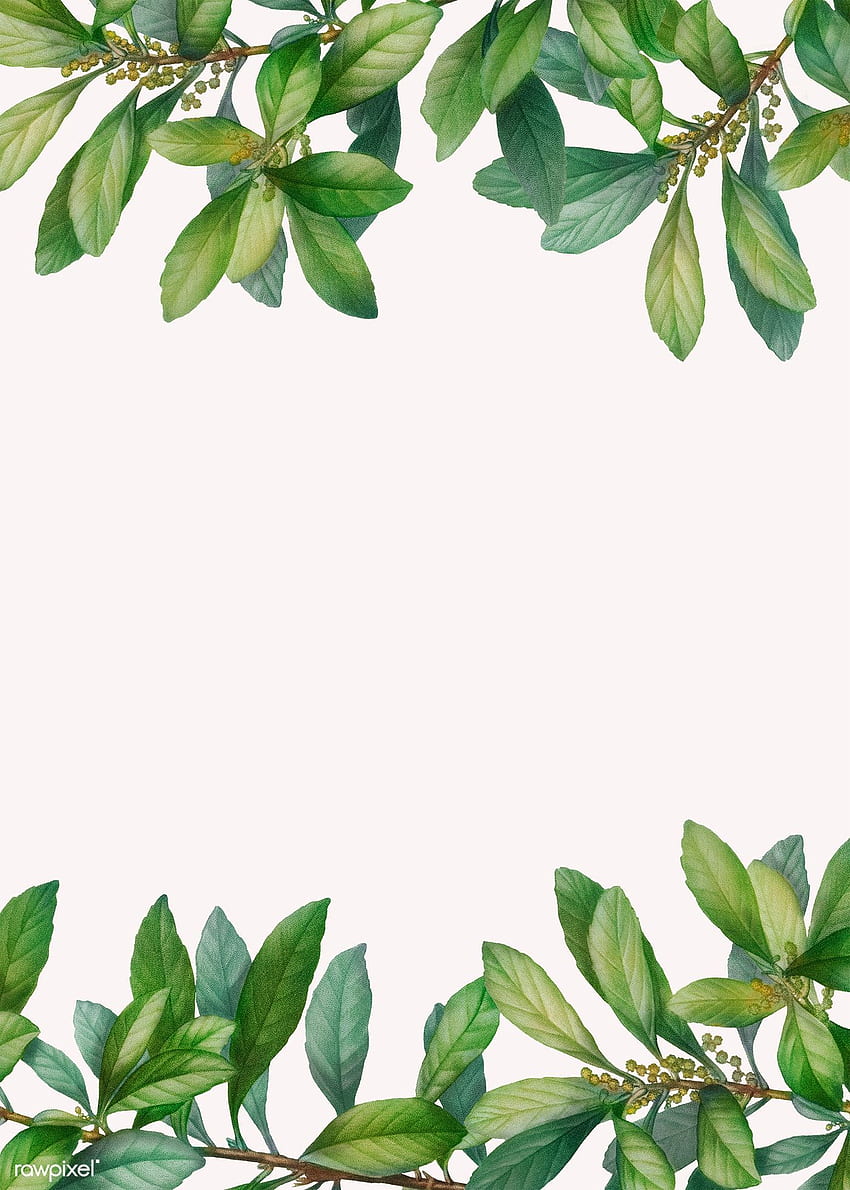 熱帯植物の葉の背景のプレミアム イラスト。 葉の背景、植物アート、緑の背景、熱帯植物​​の描画 HD電話の壁紙