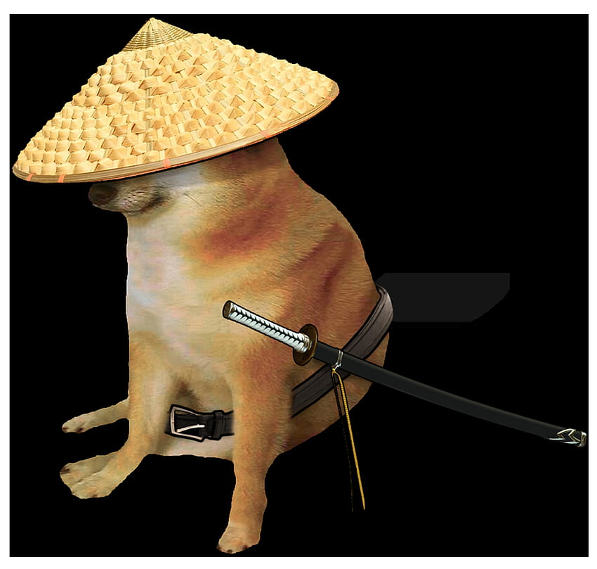 Samurai Cheems. R Dogelore. Ironic Doge Memes. Doge Dog, Doge Meme, Dog Memes, Doggo Meme HD wallpaper