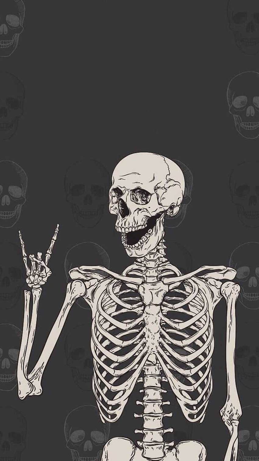 Skelett, menschliches Skelett HD-Handy-Hintergrundbild