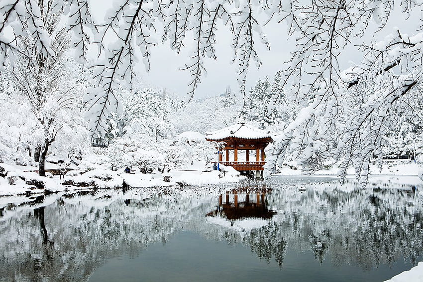 5D4N SEOUL WINTER TRIP – Shazac Travel & Tours, Korean Winter HD wallpaper