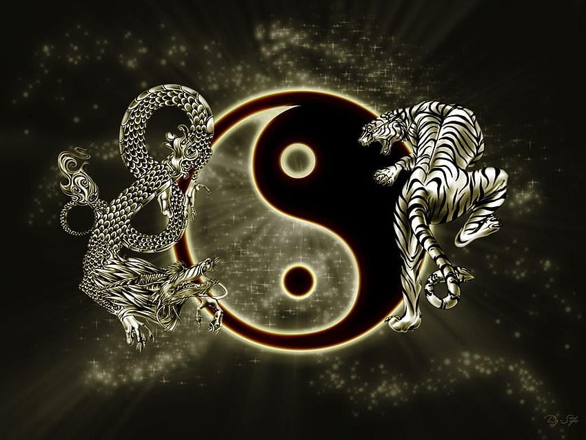 Incredibile Yin Yang con un drago e una tigre, chiamato 