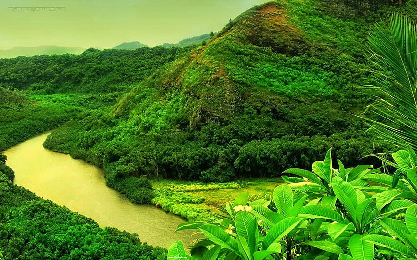 Красиви места Природа Зелена планина - Най-красивата зелена планина, планина в джунглата HD тапет
