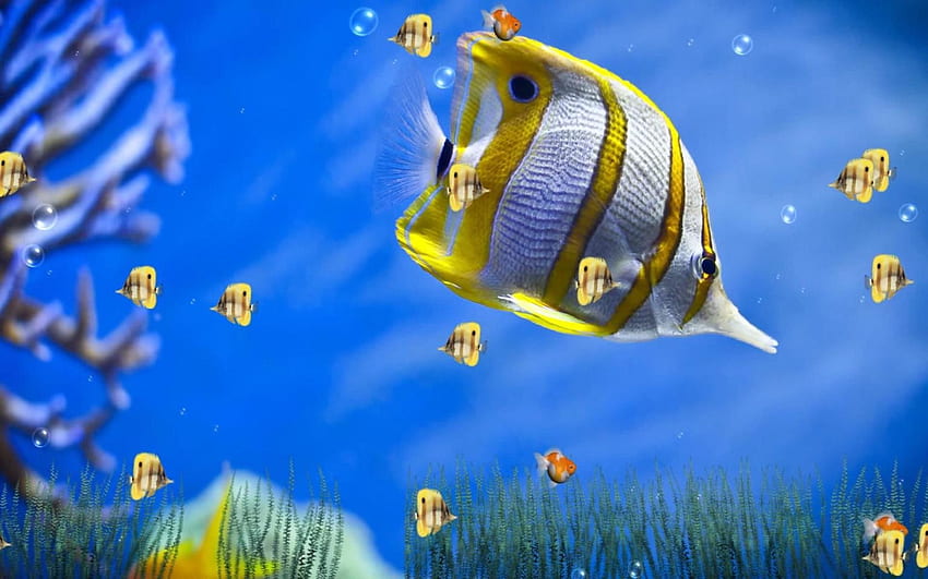 Marine Life Aquarium est un animé unique qui apportera le monde de l'océan à votre écran d'ordinateur. Avec 4 scènes merveilleuses et magnifiques à apporter ... Fond d'écran HD