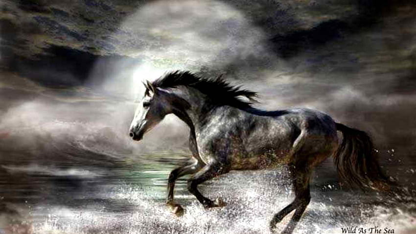 Selvagem como o mar, cavalos selvagens, cavalos brancos, lua, animais, natureza, pôneis, oceano papel de parede HD