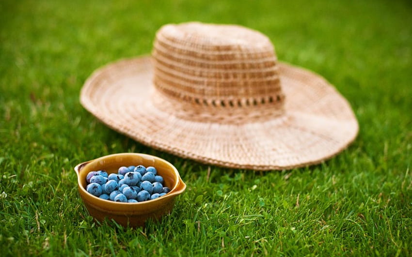*** Hat and black berries on the grass ***, jagody, natura, martwa, kapelusz HD wallpaper