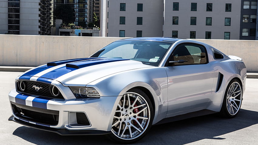 Shelby Mustang, shelby cobra, hot shelby, mustang, shelby papel de parede HD