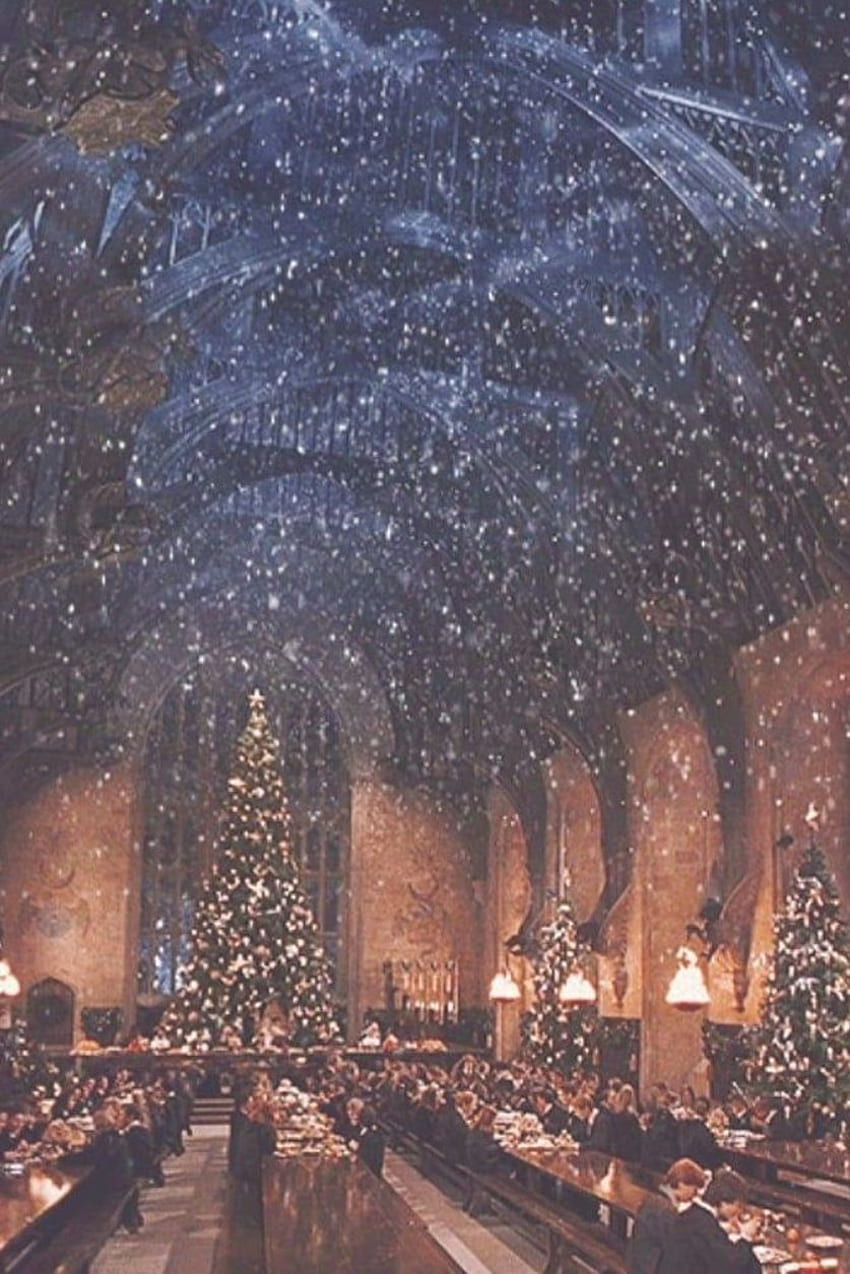 100 Harry Potter Christmas Background s  Wallpaperscom