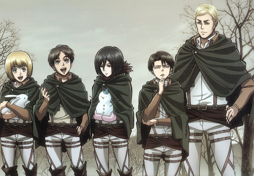 ALIYAH BOARD, Erwin Attack On Titan HD wallpaper