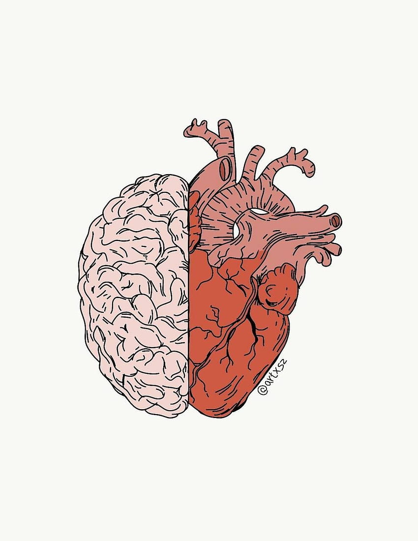 Heart and brain HD phone wallpaper