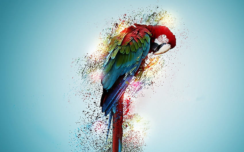 ара, папагал, птица, тропически, психеделичен, произведения на изкуството, изкуство / и мобилен фон HD тапет