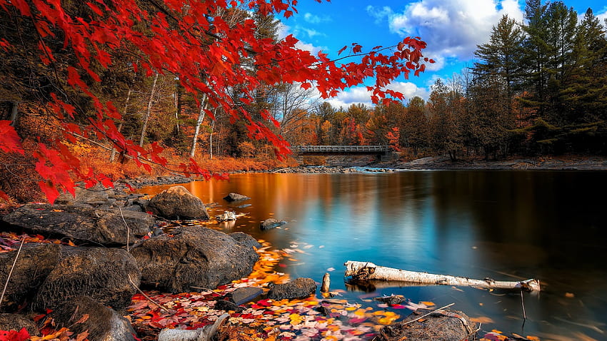 自然クール。 秋の風景、自然、美しい自然 高画質の壁紙