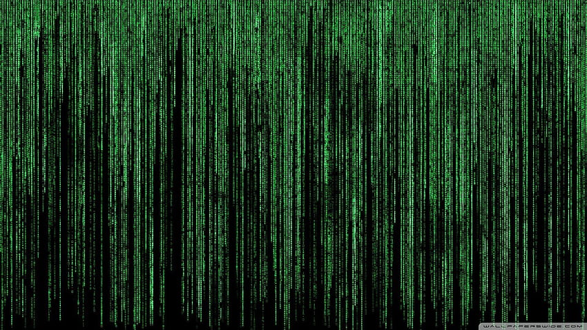 Matrix-Hintergrund, grüne Matrix HD-Hintergrundbild