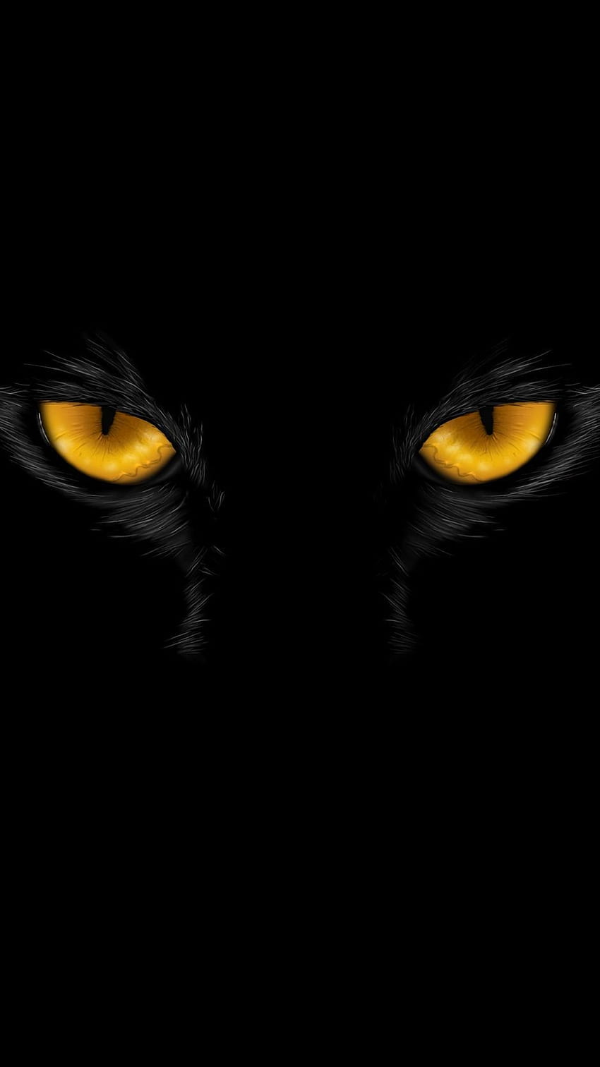 Black panther big cat HD wallpapers | Pxfuel