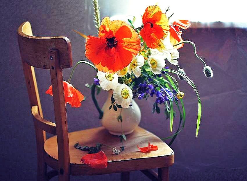 Piękno na krześle, drewniane, krzesło, maki, światło słoneczne, okno, białe i niebieskie kwiaty, wazon Tapeta HD