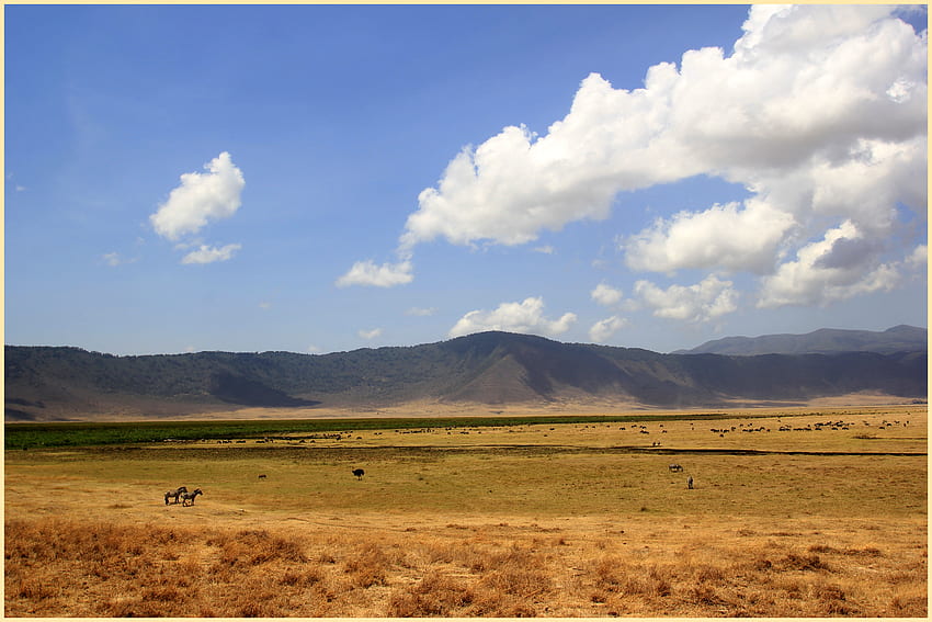 Displaying 17 For African Grasslands Background [] for your , Mobile & Tablet. Explore Grassland Background. Grassland , Grassland Background, Grassland HD wallpaper