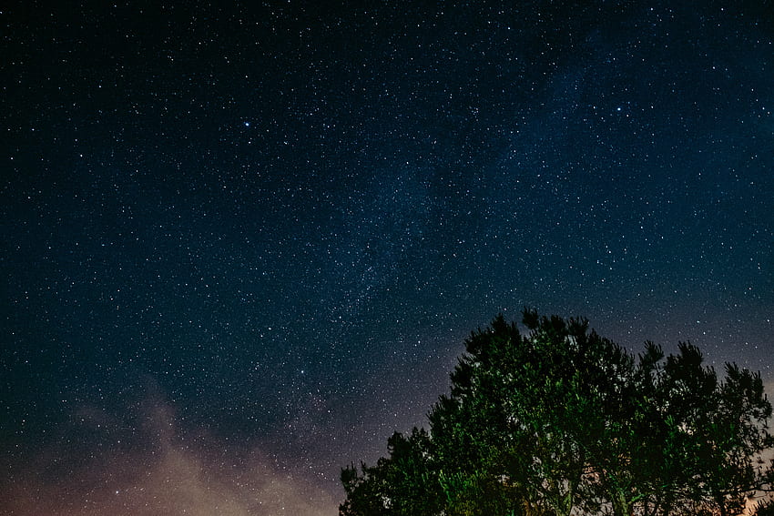 ธรรมชาติ กลางคืน ไม้ ต้นไม้ ท้องฟ้าเต็มไปด้วยดวงดาว วอลล์เปเปอร์ HD