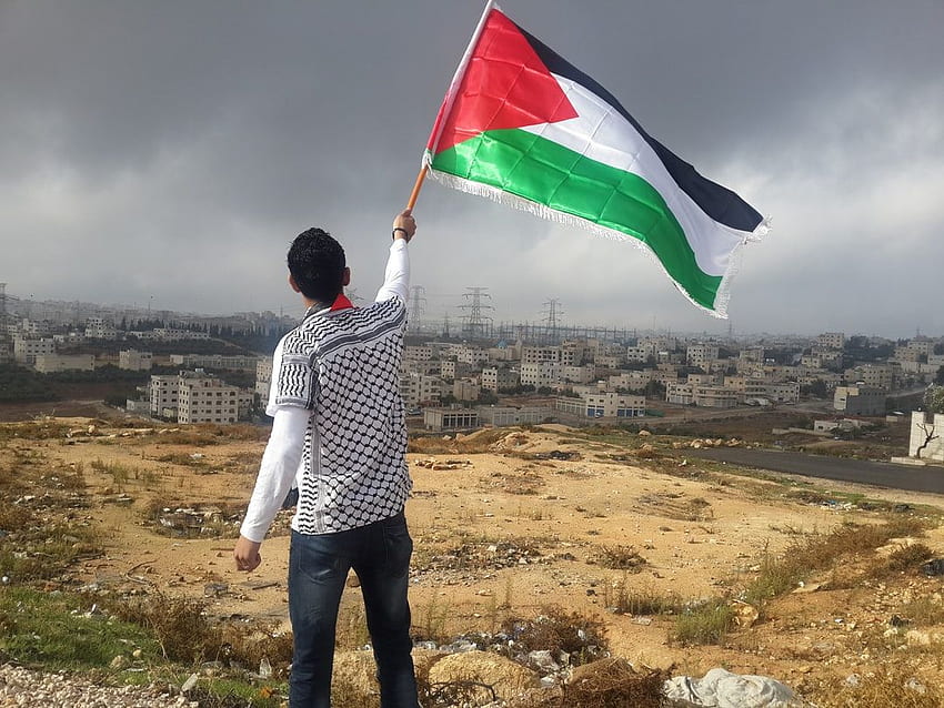 man waving flag – Person, Palestine Flag HD wallpaper