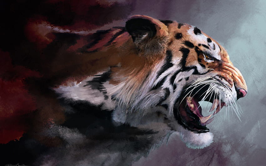 Тигър, агресивен тигър HD тапет
